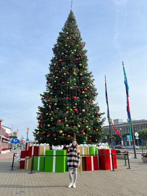 und an Pier 39