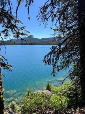 De wunderbari Wäg um de schöni Lake Paulina