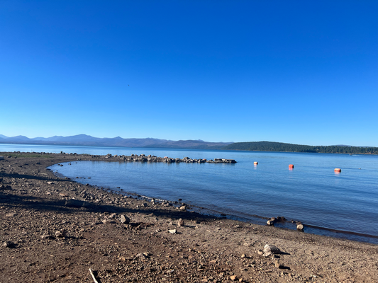 Ufem Weg uf Redding no bim Lake Almanor e Pause ihgleit :)