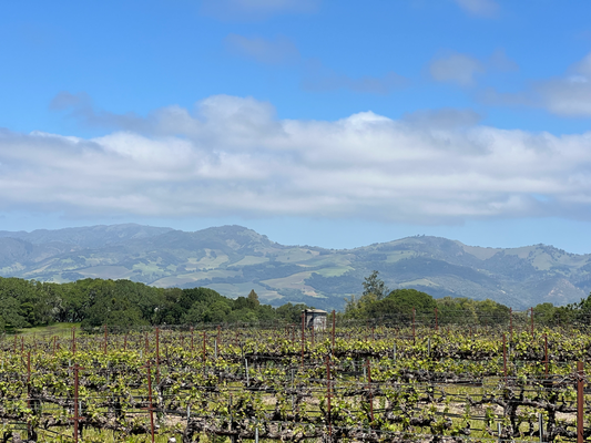 Jack London State Park
