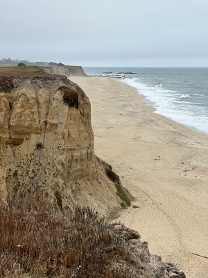Dunnstigmorge in Halfmoonbay go spaziere