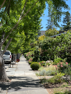 Palo Alto isch eifach so hübsch!