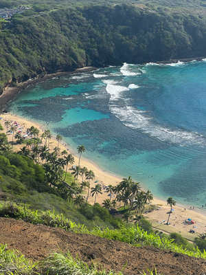 Hanauma Bay - gseht so klar uus wie no nie - so "klar" dasmer genau hüt nume hend welle go laufe und kei Equiptment debii händ, haha