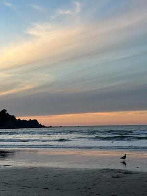 Pacifica