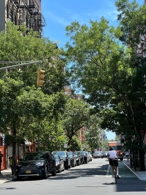 Summer in the City
