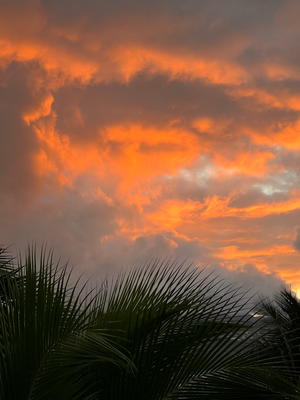 Sky on Fire