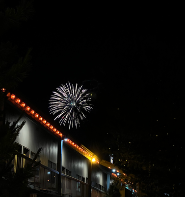 4th of July Firework