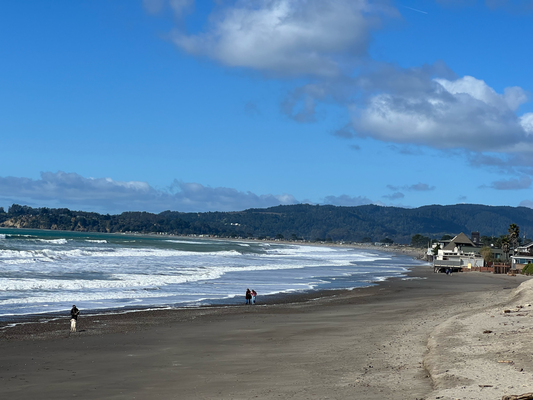 Stinson Beach het en guete Kaffi Halt botte, bevor mer in Bodega Bay sind go Crab Sandwich ässe.