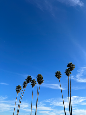 Santa Cruz