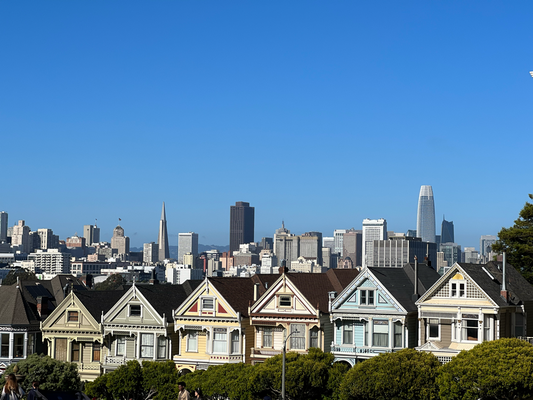 Painted Ladies