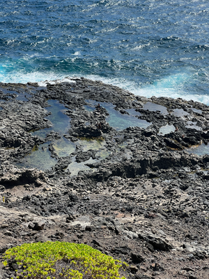 Am Sunntig zude Makapu'u Tide Pools (bi low Tide)