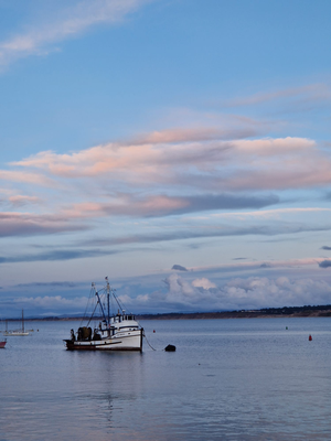Monterey
