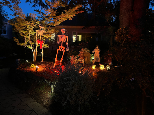 Am Fritigabig no uf en Neighbourhood Walk all die gruslige Halloween Dekos go ahluege :) 