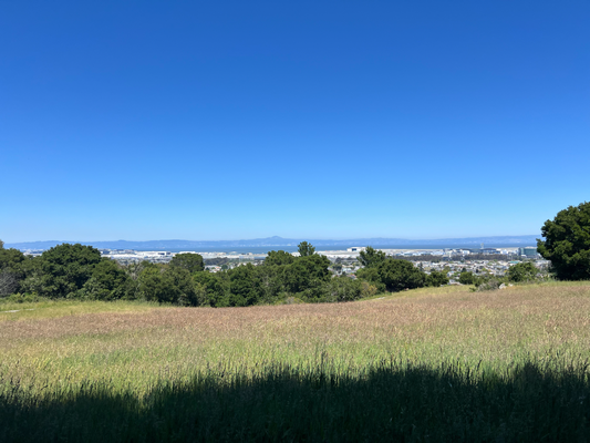 View uf de Flughafe