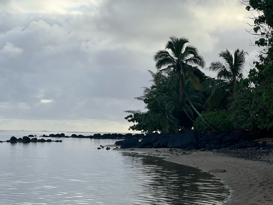 Abstecher an Anini Beach (am Morge am 7ni) mitem Ziel go schnorchle z'gah