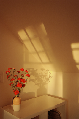 Vase mit Blumen auf Komode
