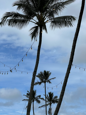 Cute Hanalei