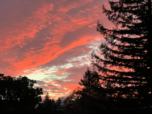 Beautiful Sunset :)