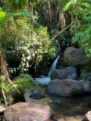 En coole Hike, Makiki Valley Trail