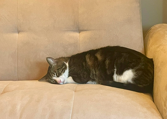 De Haku döf zur Abwechslig sogar is andere Zimmer go pfuuse :)