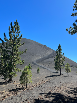 Wua, was füren Wäg! No sälte so konstant so steil ufegloffe... Aber gseht us, als blibt eus nüt anders übrig - ab uf's Cinder Cone!