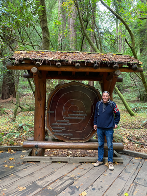Muir Woods