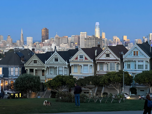 Painted Ladies