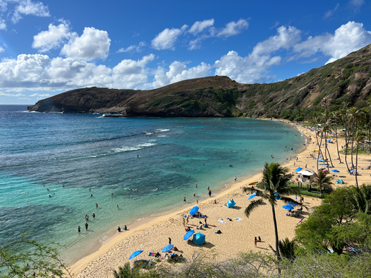 Sunntig; Hanauma Bay für en churze Schnorchel am Morge :)