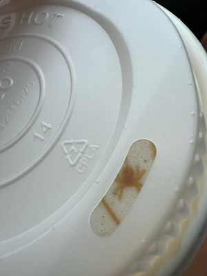Am Samstig het de Fäbe e Spinne im Kaffi gha!!!
