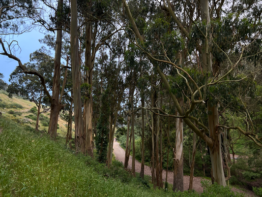Spaziergang im Glen Canyon