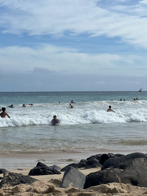 Boogie Boarde