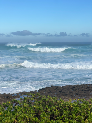 Ka'ena Point