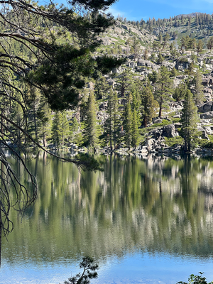 Grass Lake