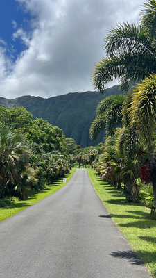 Botanische Garte