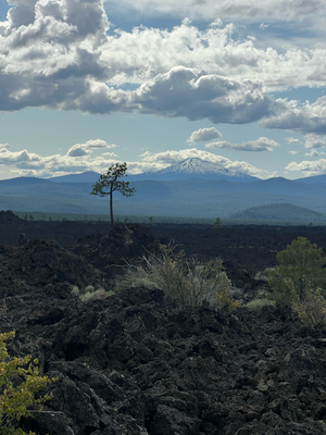 Lava Fäld