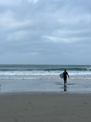 Fäbe go surfe :)