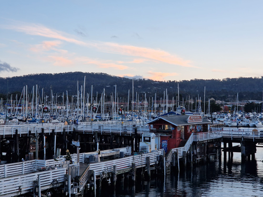 Monterey