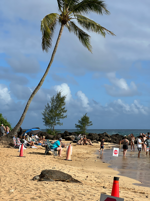 Poipu Beach
