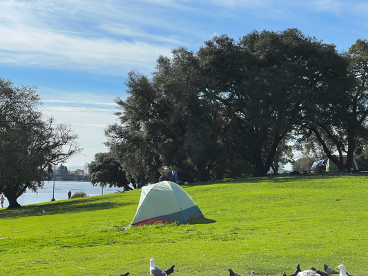so cool, dass sie ä zmitzt uf so öffentliche Plätz "Lakeside-Camping" ahbütet :D