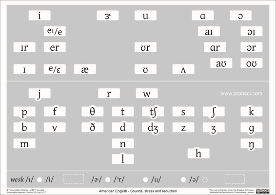 Phonetic Features Chart