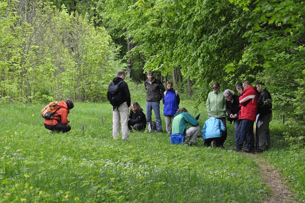 Vor allem die Exkursionsteilnehmerinnen glänzten mit botanischen Kenntnissen (Foto: Annelore Schneider)