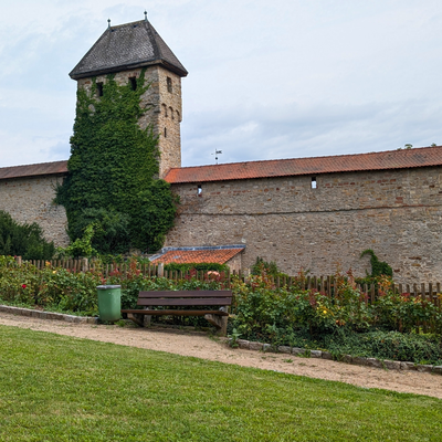 Kirchheimbolanden