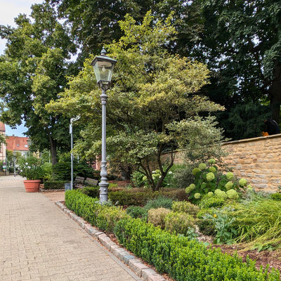 Kirchheimbolanden