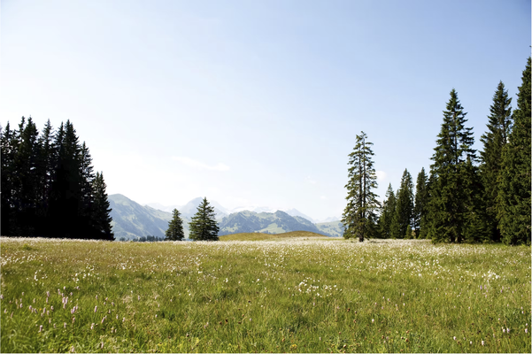 Yoga Retreat im DAO Sparenmoos