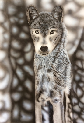 Wolf / Cardboard 25x36cm