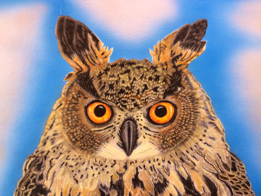 Screech Owl / Cardboard 25x36cm