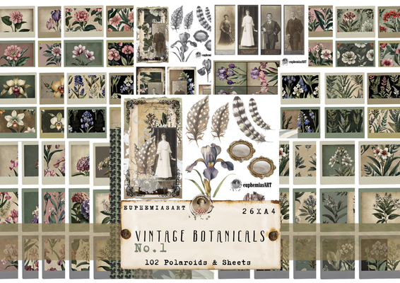 Vintage Botanicals No. 1, Printable Polaroids