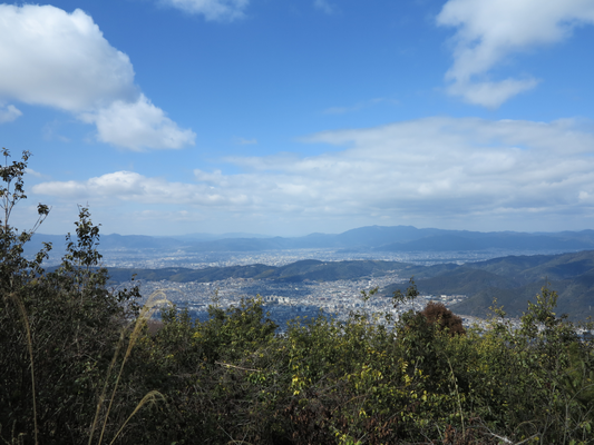 頂上から京都市街
