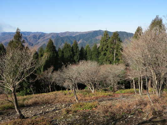 京都方面の山並み