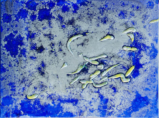 Eins war schneller - Acryl auf Leinwand, 40x30 cm, 2013, U. Schachner